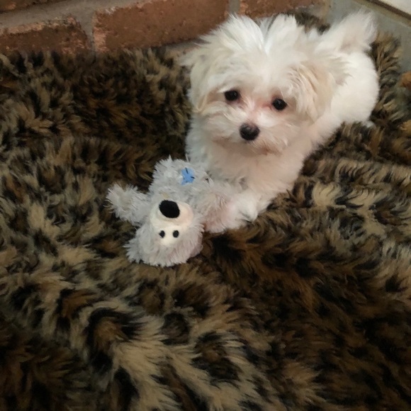 Meet your Posher, Jane - Picture 2 of 5